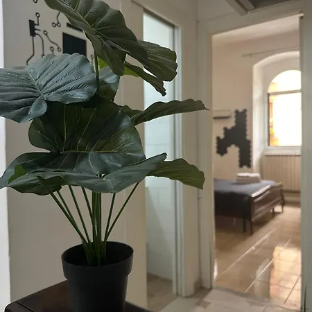 Stazione Centrale - Black 斯培西亚